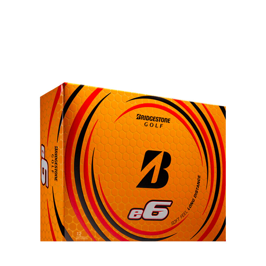 BRIDGESTONE e6